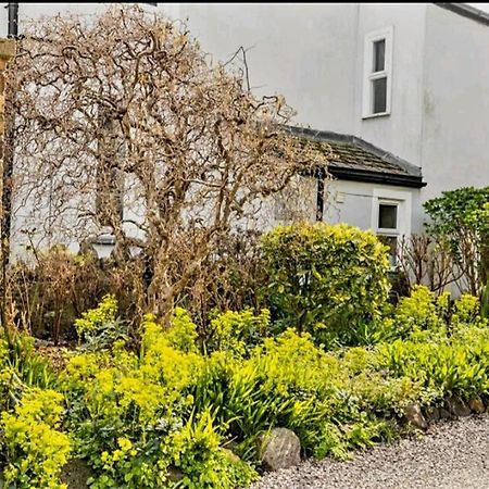 The Mews - Less Than 1Km To City Centre - Stadium - Castle - 10 Min Walk 卡迪夫 外观 照片